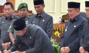 WhatsApp Image 2025-08-25 at 15.11.33 (1)