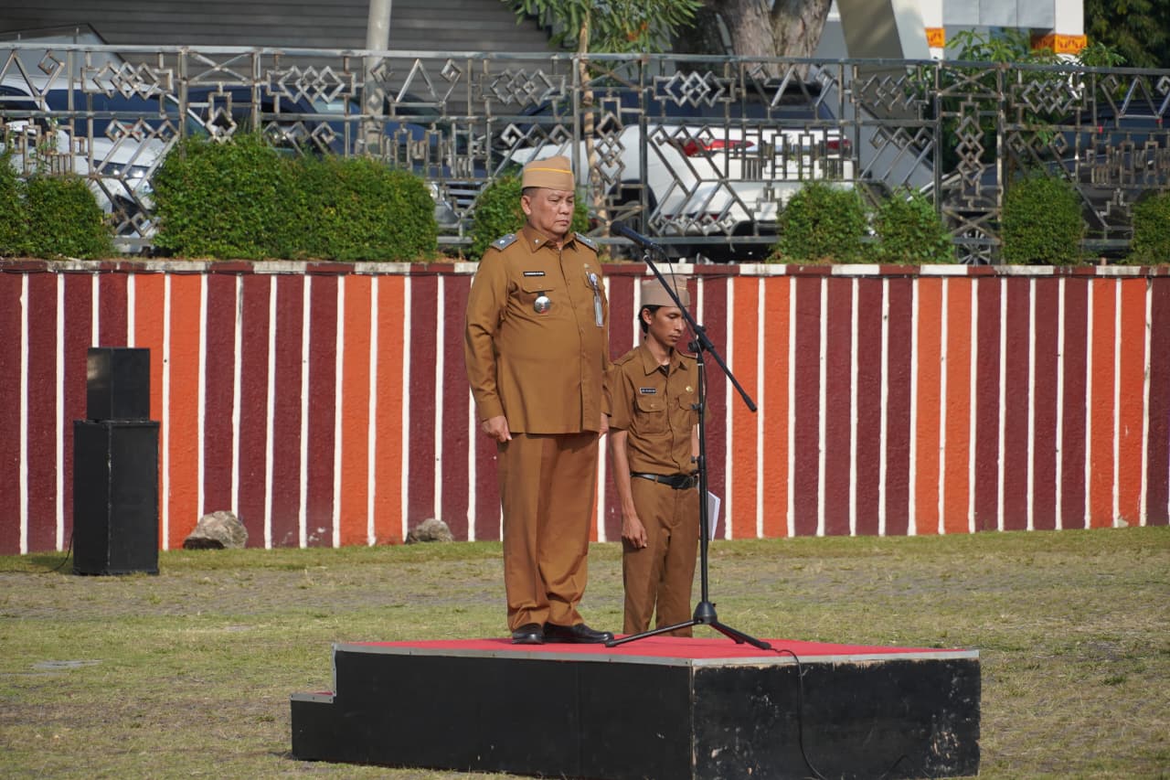 WhatsApp Image 2025-10-20 at 11.19.49