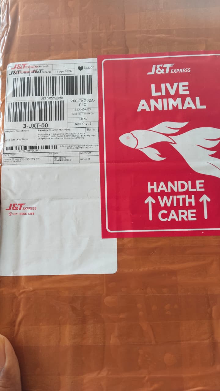 WhatsApp Image 2026-04-13 at 20.10.13