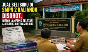 WhatsApp Image 2026-09-01 at 23.11.12